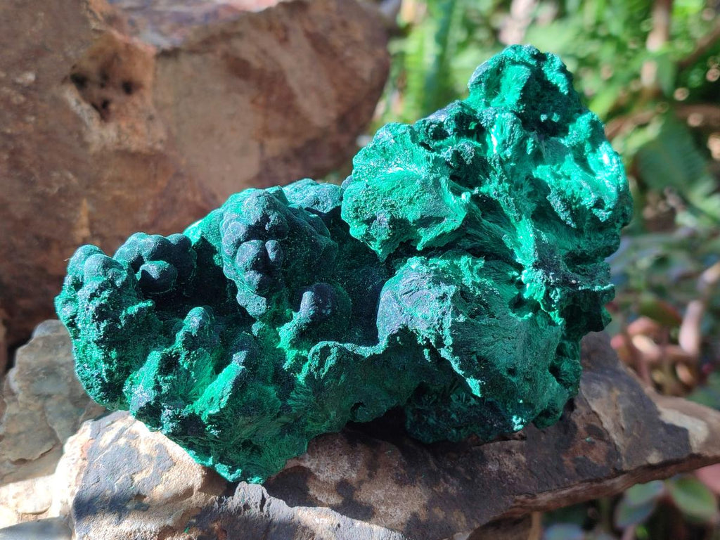 Natural Large Cabinet Size Silky Malachite Specimens x 2 From Kasompe, Congo