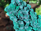 Natural Large Cabinet Size Silky Malachite Specimens x 2 From Kasompe, Congo