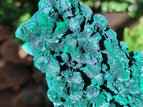 Natural Large Cabinet Size Silky Malachite Specimens x 2 From Kasompe, Congo
