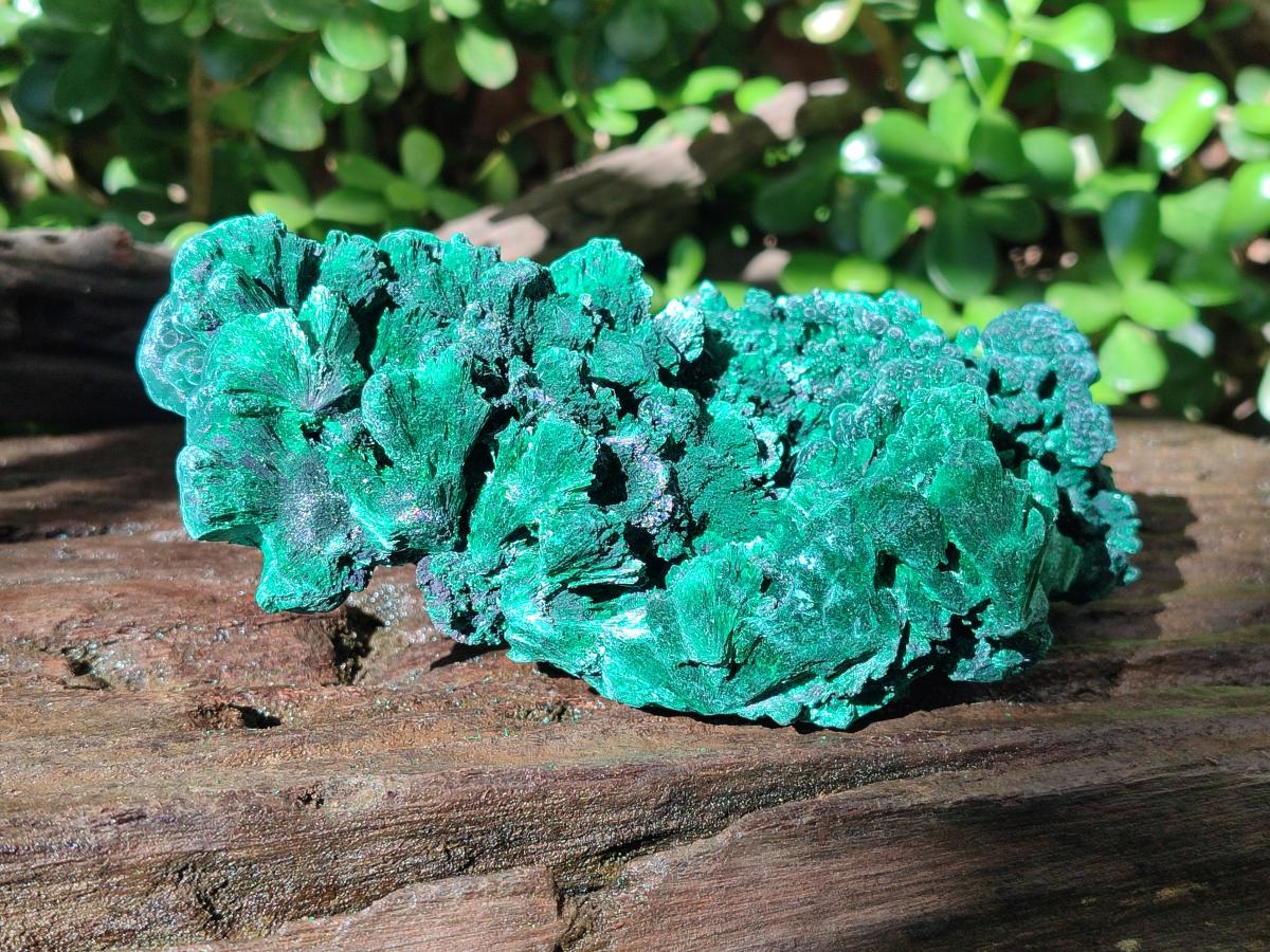Natural Large Cabinet Size Silky Malachite Specimens x 2 From Kasompe, Congo