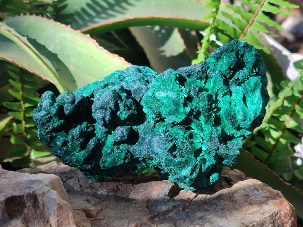 Natural Large Cabinet Size Silky Malachite Specimens x 2 From Kasompe, Congo