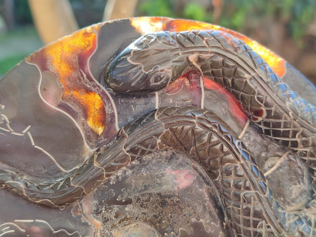 Hand Made Cleoniceras Ammonite Fossil Snake Carvings x 2 From Tulear, Madagascar