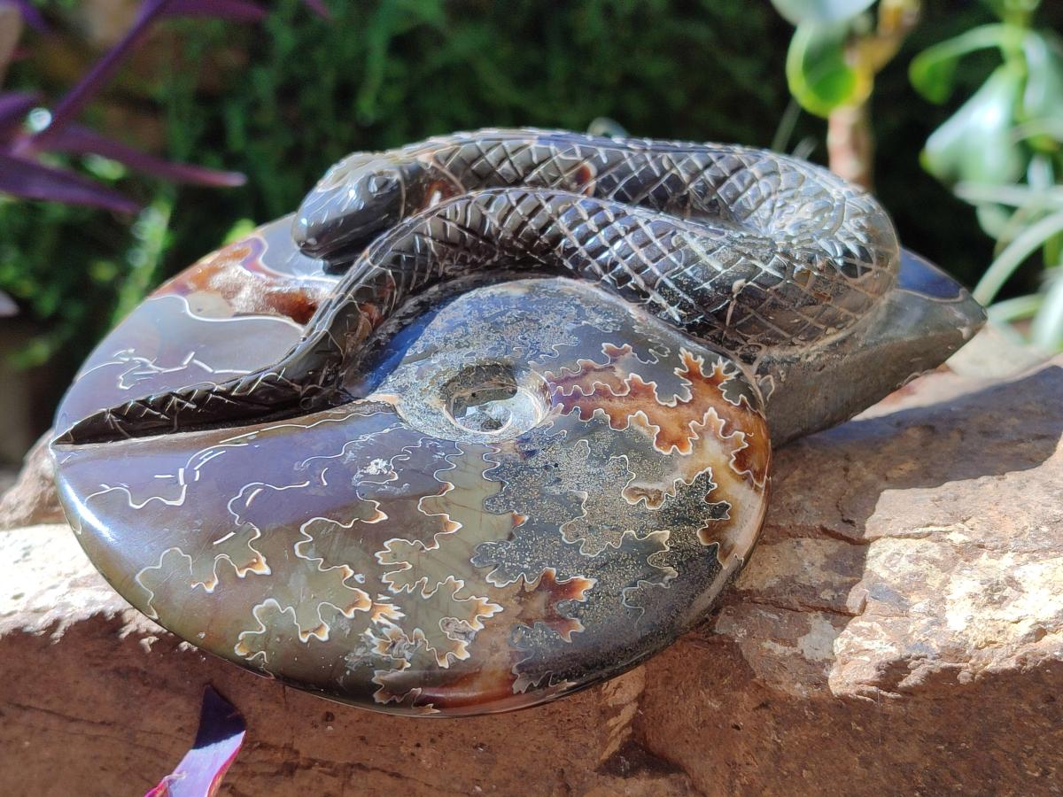 Hand Made Cleoniceras Ammonite Fossil Snake Carvings x 2 From Tulear, Madagascar