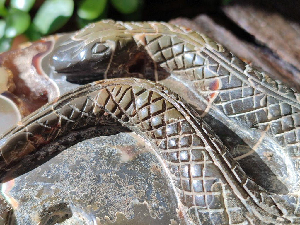 Hand Made Cleoniceras Ammonite Fossil Snake Carvings x 2 From Tulear, Madagascar