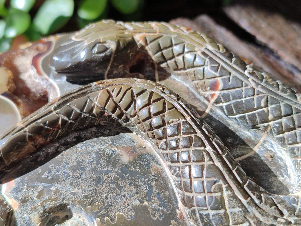 Hand Made Cleoniceras Ammonite Fossil Snake Carvings x 2 From Tulear, Madagascar