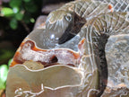 Hand Made Cleoniceras Ammonite Fossil Snake Carvings x 2 From Tulear, Madagascar