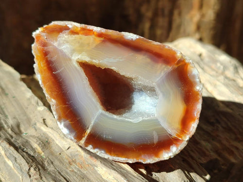 Polished Mix of Banded Agate Pieces x 6 From Madagascar