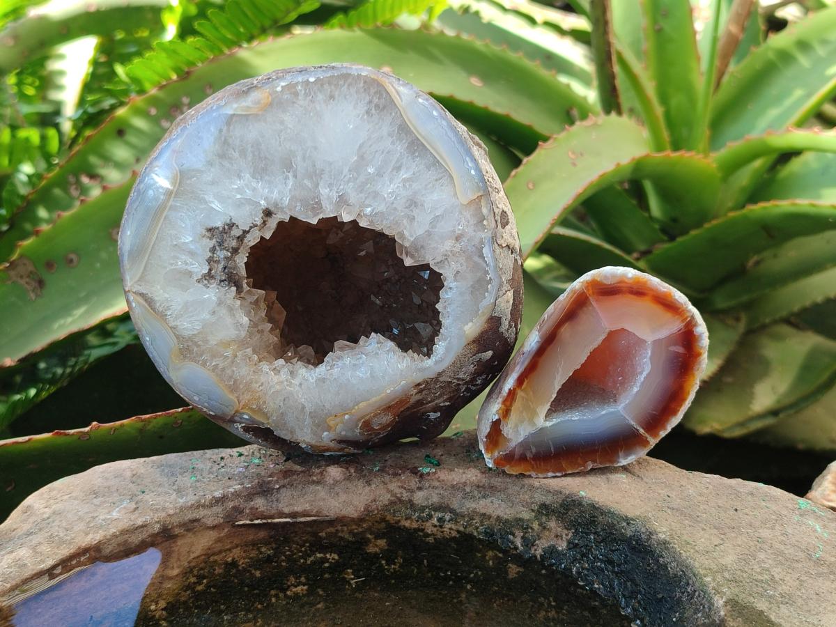 Polished Mix of Banded Agate Pieces x 6 From Madagascar