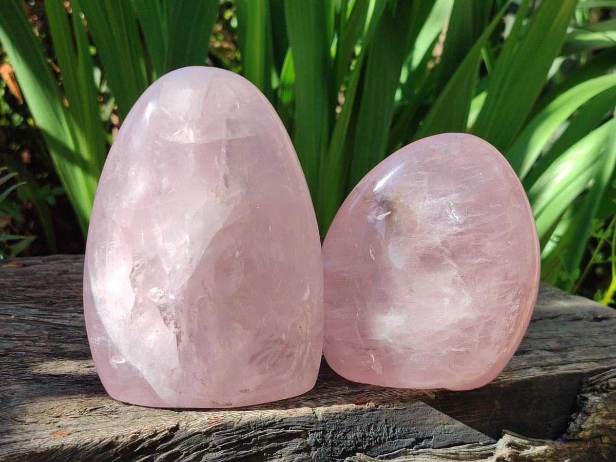 Polished Gemmy Rose Quartz Standing Display Pieces x 2 From Madagascar - Toprock Gemstones and Minerals 
