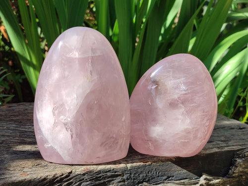 Polished Gemmy Rose Quartz Standing Display Pieces x 2 From Madagascar