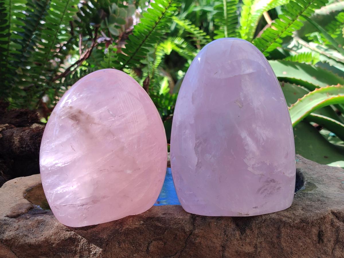 Polished Gemmy Rose Quartz Standing Display Pieces x 2 From Madagascar - Toprock Gemstones and Minerals 