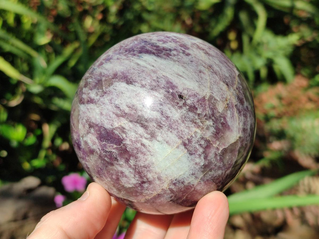 Polished Lepidolite with Pink Rubellite Spheres x 2 From Ambatondrazaka, Madagascar