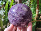 Polished Lepidolite with Pink Rubellite Spheres x 2 From Ambatondrazaka, Madagascar