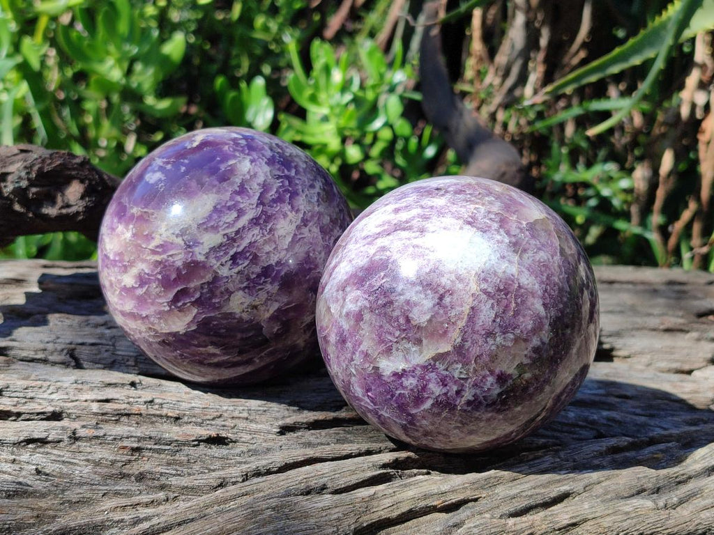 Polished Lepidolite with Pink Rubellite Spheres x 2 From Ambatondrazaka, Madagascar
