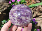 Polished Lepidolite with Pink Rubellite Spheres x 2 From Ambatondrazaka, Madagascar
