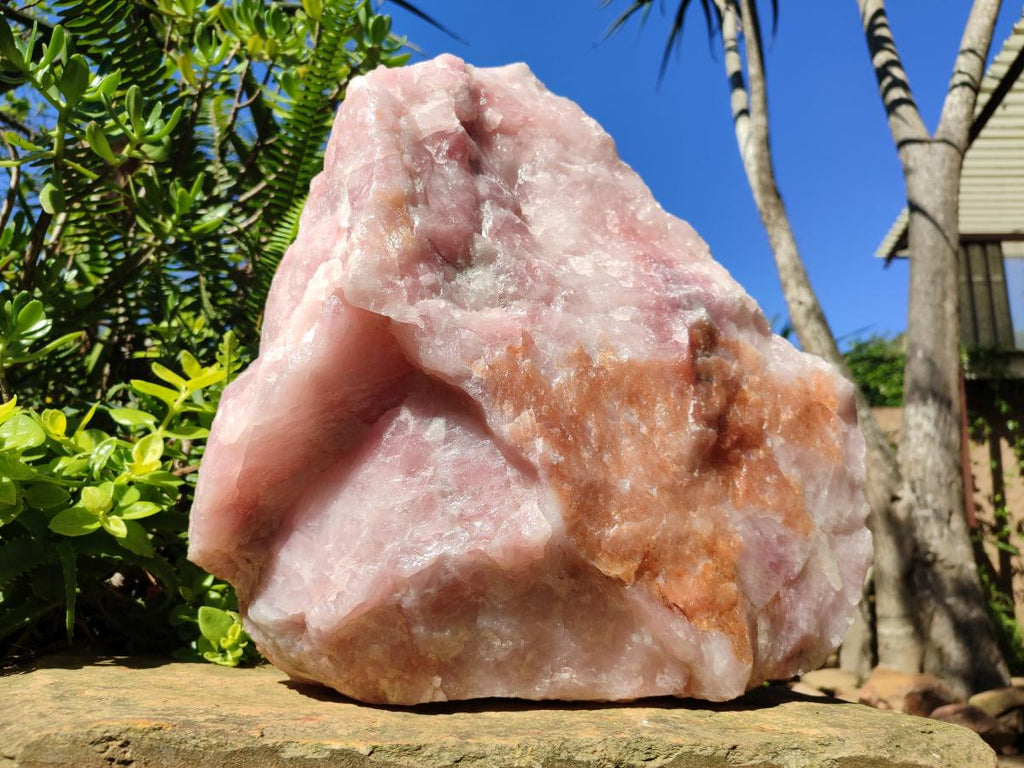 Natural XL Cobbed Rose Quartz Specimen x 1 From Northern Cape, South Africa