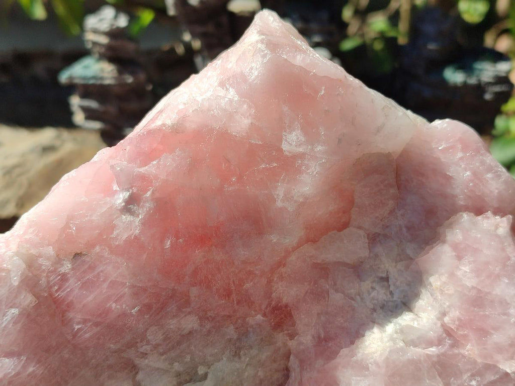 Natural XL Cobbed Rose Quartz Specimen x 1 From Northern Cape, South Africa