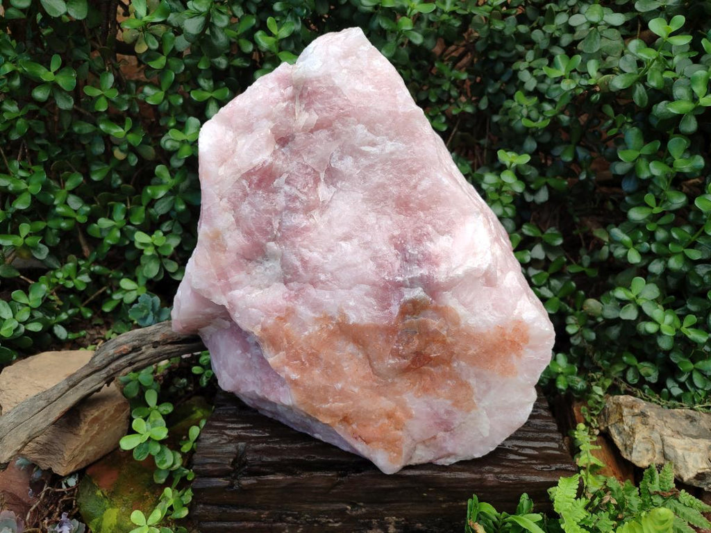 Natural XL Cobbed Rose Quartz Specimen x 1 From Northern Cape, South Africa
