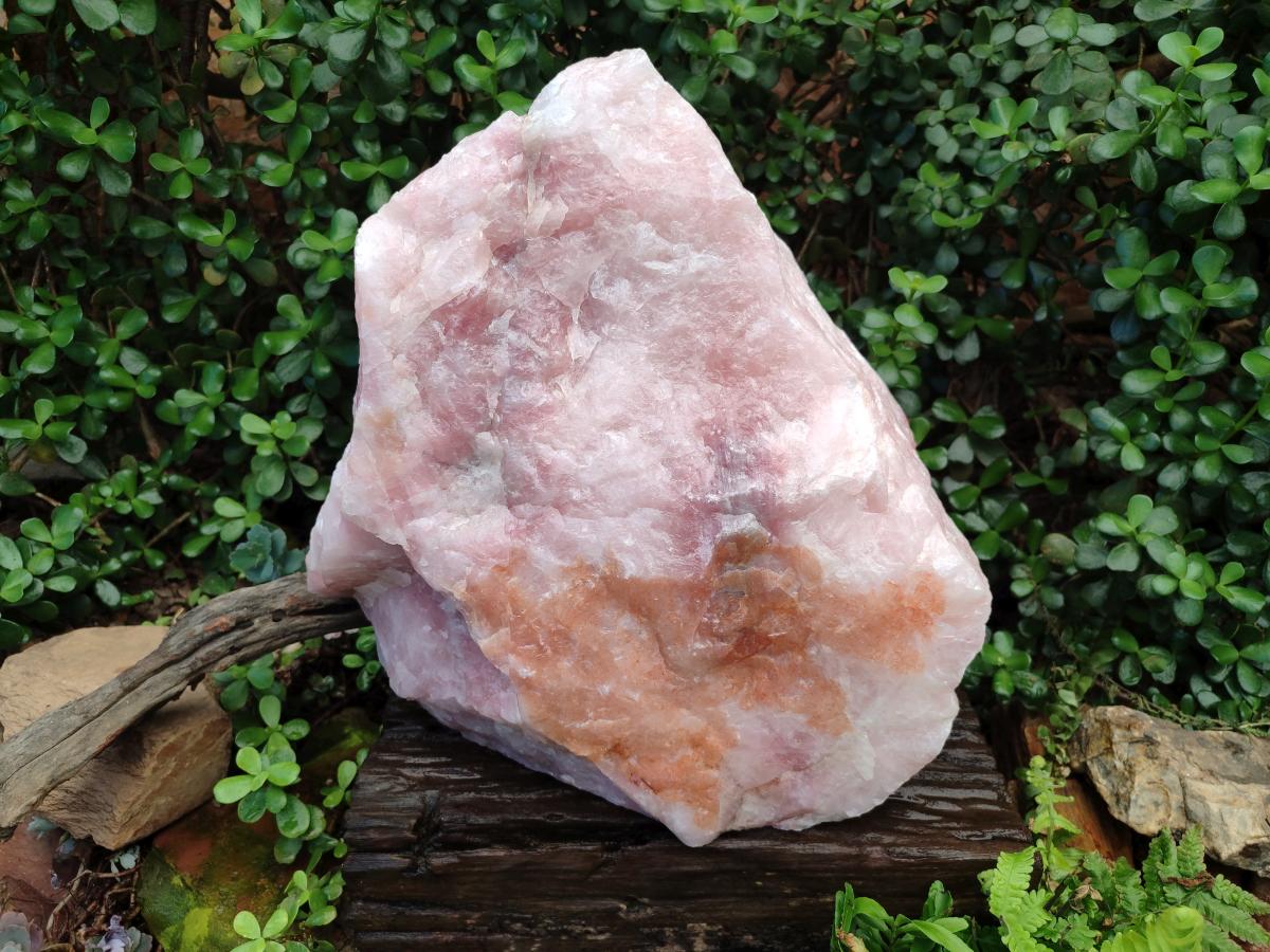 Natural XL Cobbed Rose Quartz Specimen x 1 From Northern Cape, South Africa