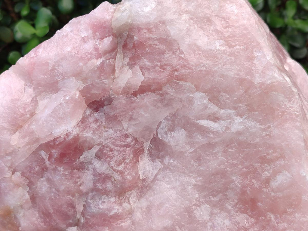 Natural XL Cobbed Rose Quartz Specimen x 1 From Northern Cape, South Africa