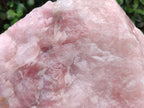 Natural XL Cobbed Rose Quartz Specimen x 1 From Northern Cape, South Africa