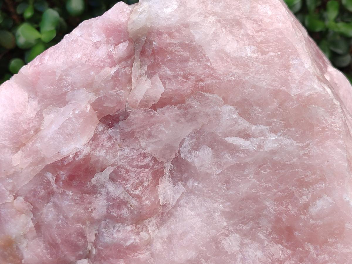 Natural XL Cobbed Rose Quartz Specimen x 1 From Northern Cape, South Africa