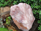 Natural XL Cobbed Rose Quartz Specimen x 1 From Northern Cape, South Africa