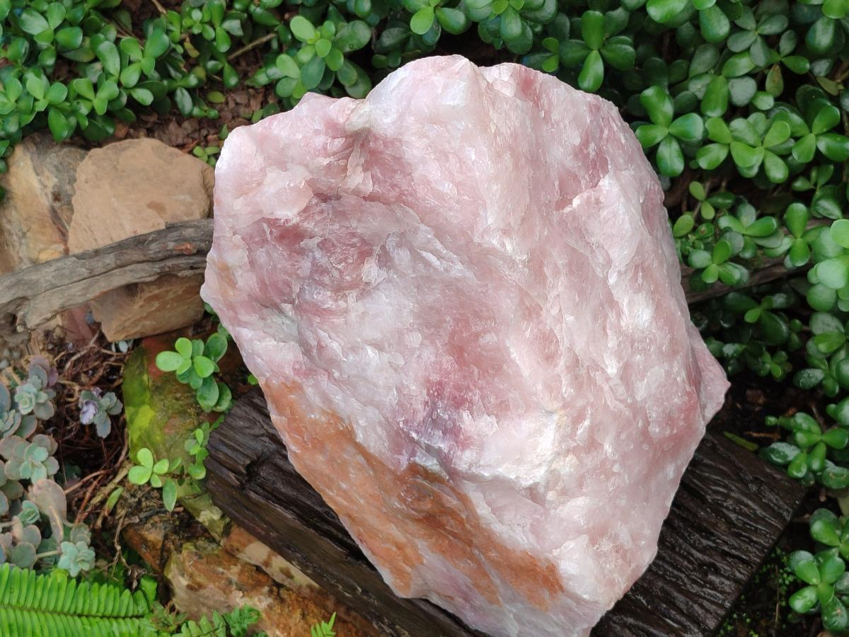 Natural XL Cobbed Rose Quartz Specimen x 1 From Northern Cape, South Africa