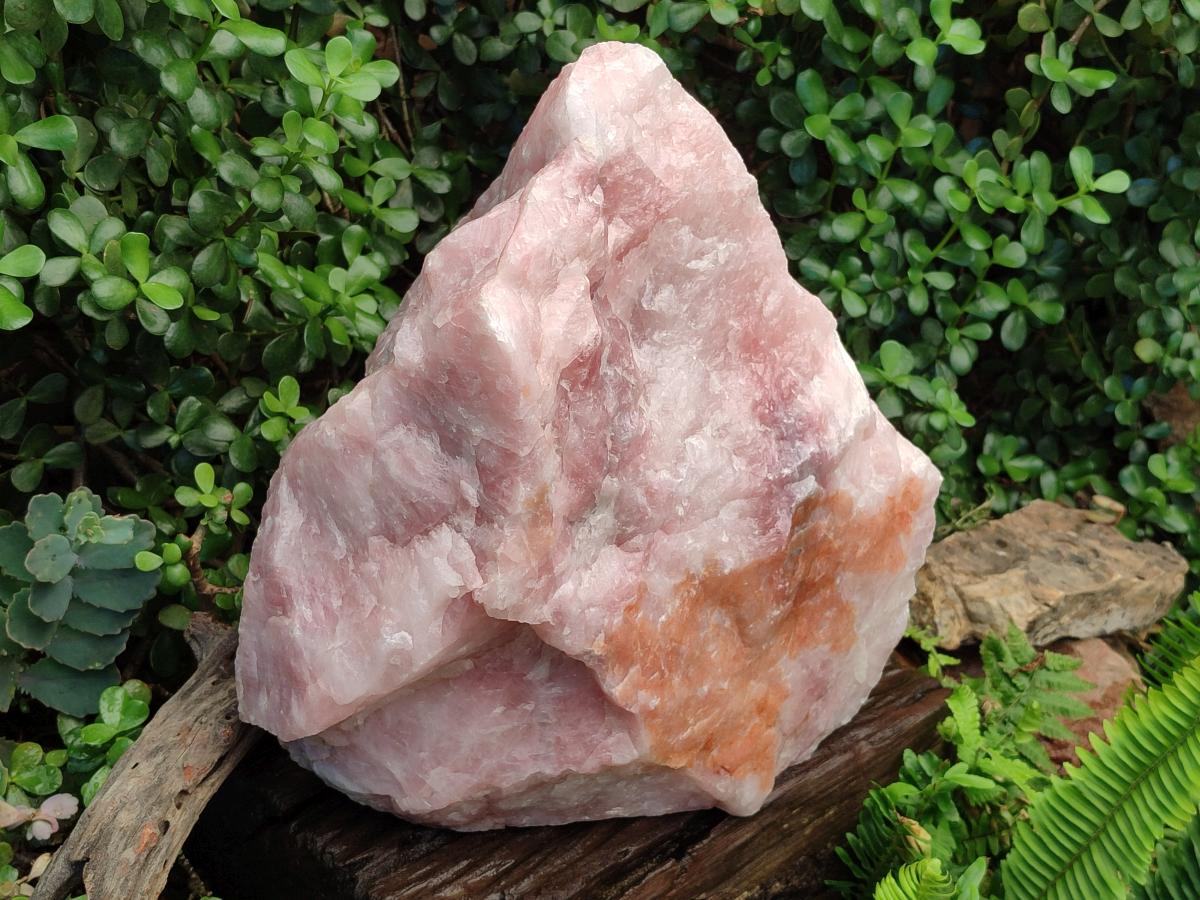 Natural XL Cobbed Rose Quartz Specimen x 1 From Northern Cape, South Africa