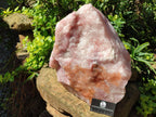 Natural XL Cobbed Rose Quartz Specimen x 1 From Northern Cape, South Africa