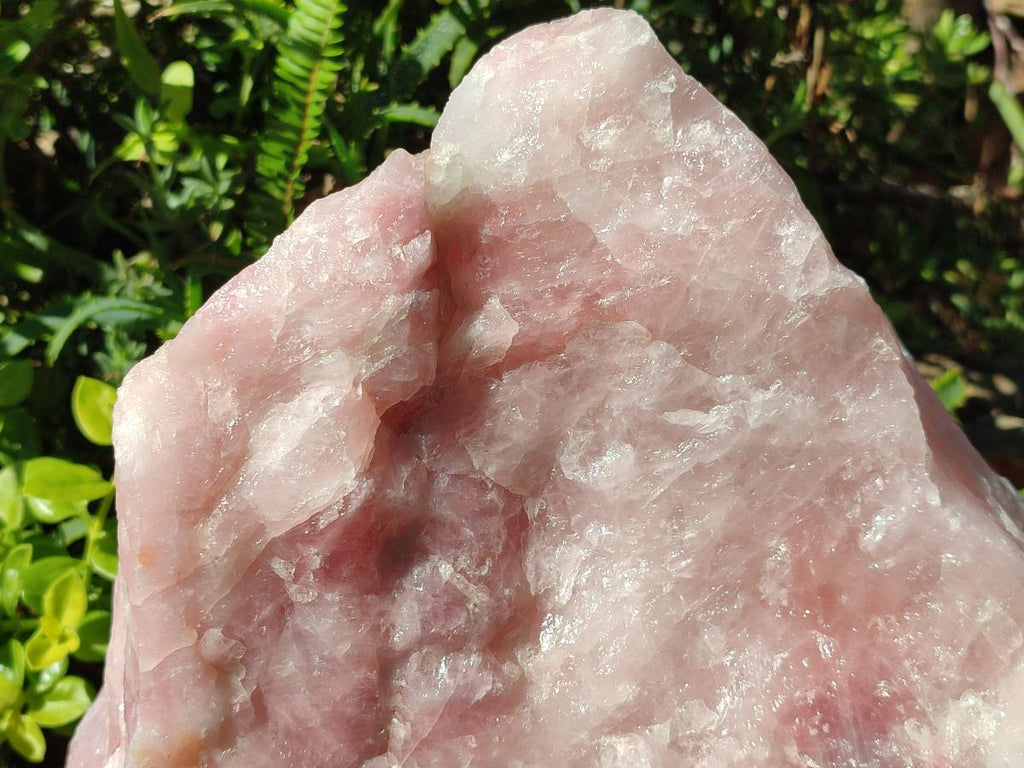 Natural XL Cobbed Rose Quartz Specimen x 1 From Northern Cape, South Africa