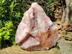 Natural XL Cobbed Rose Quartz Specimen x 1 From Northern Cape, South Africa