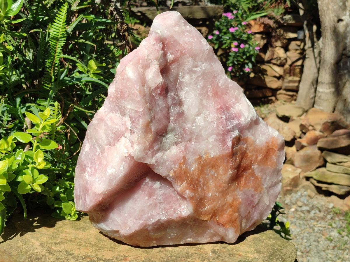 Natural XL Cobbed Rose Quartz Specimen x 1 From Northern Cape, South Africa