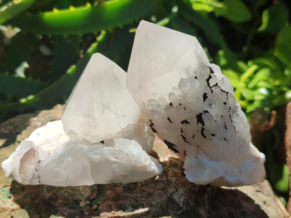 Natural Cascading Candle Quartz Crystals and Clusters x 12 From Antsirabe, Madagascar