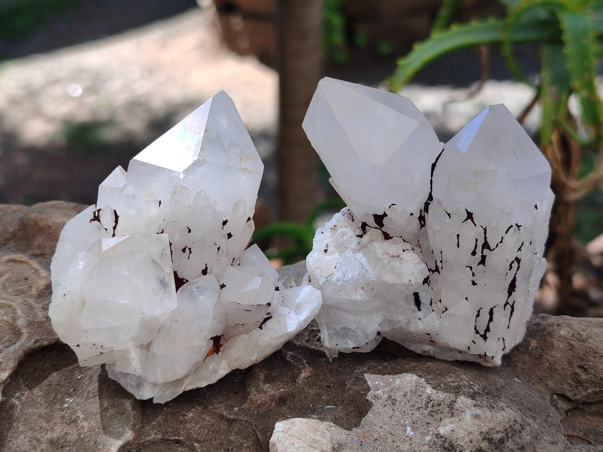 Natural Cascading Candle Quartz Crystals and Clusters x 12 From Antsirabe, Madagascar
