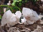 Natural Cascading Candle Quartz Crystals and Clusters x 12 From Antsirabe, Madagascar