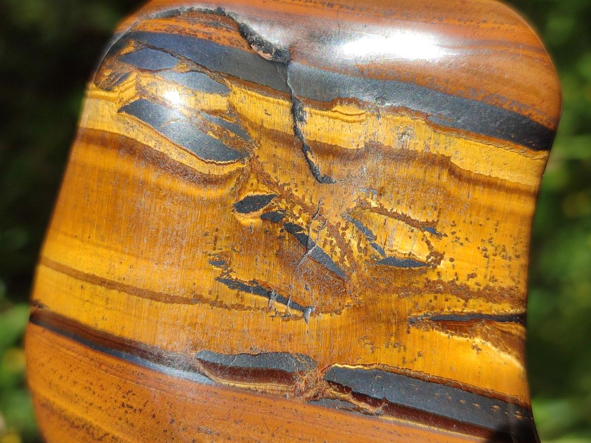 Polished Golden Tigers Eye Tumbled Free Forms x 6 From Prieska, South Africa