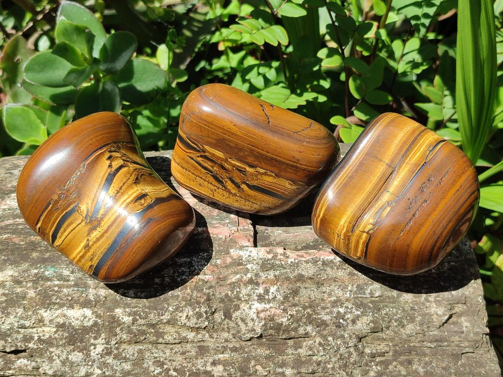 Polished Golden Tigers Eye Tumbled Free Forms x 6 From Prieska, South Africa