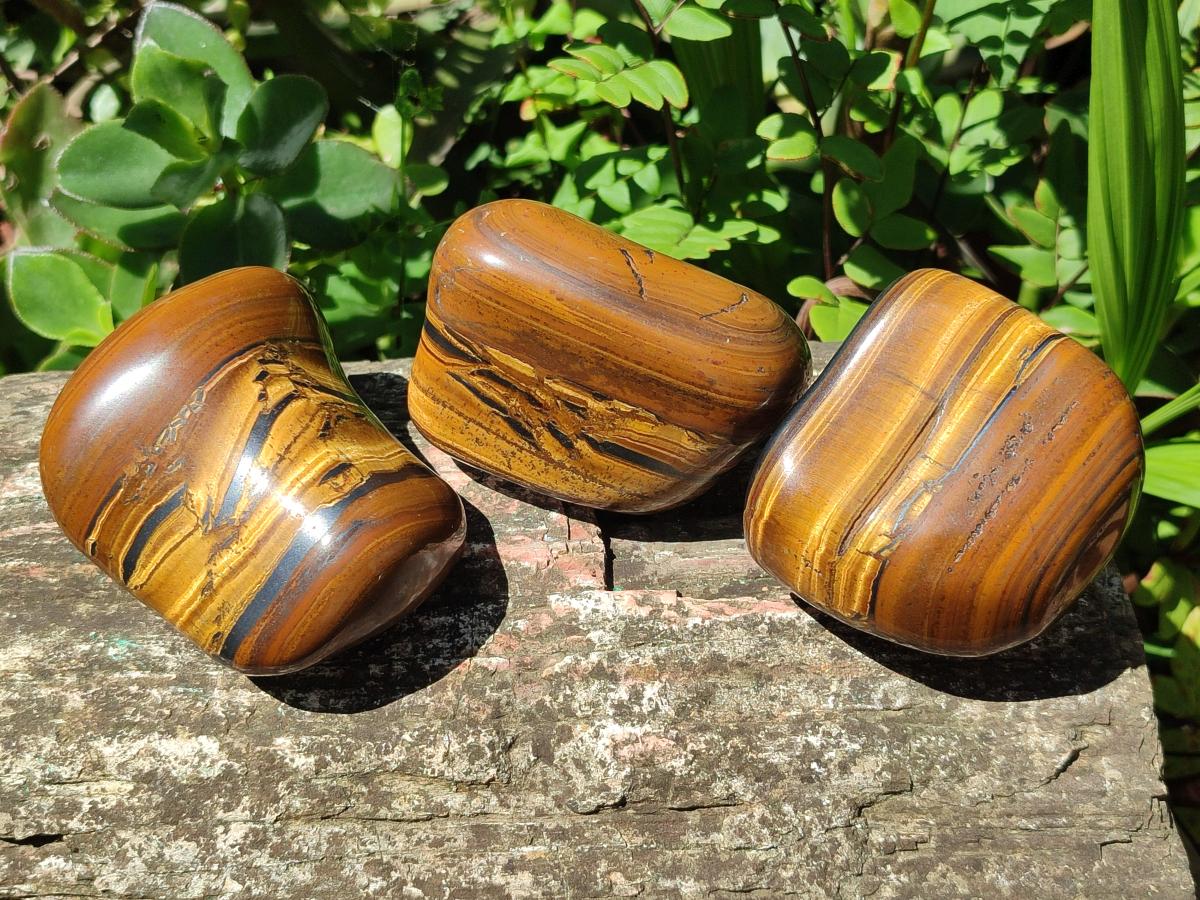 Polished Golden Tigers Eye Tumbled Free Forms x 6 From Prieska, South Africa