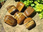 Polished Golden Tigers Eye Tumbled Free Forms x 6 From Prieska, South Africa
