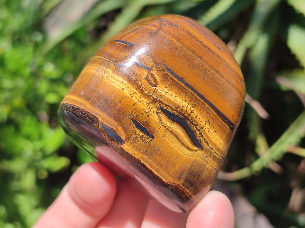 Polished Golden Tigers Eye Tumbled Free Forms x 6 From Prieska, South Africa