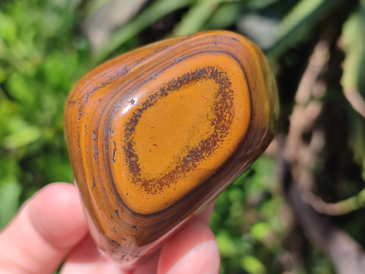 Polished Golden Tigers Eye Tumbled Free Forms x 6 From Prieska, South Africa