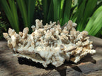 Natural Sceptre Calcite Clusters with Phosphorus Aragonite Coating x 2 From Albert's Mountain, Lesotho