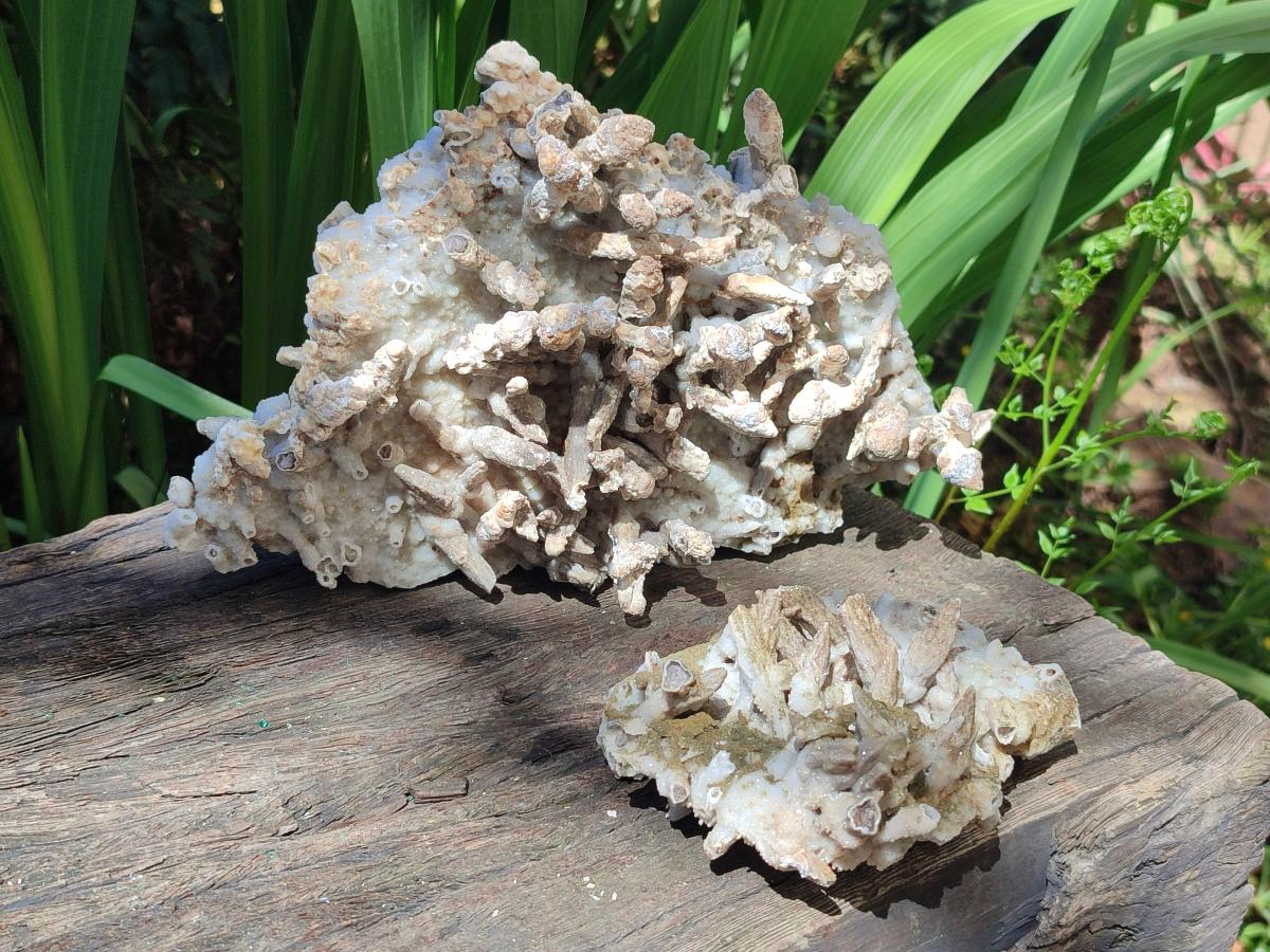 Natural Sceptre Calcite Clusters with Phosphorus Aragonite Coating x 2 From Albert's Mountain, Lesotho