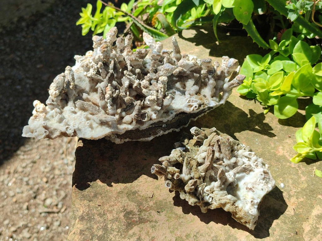 Natural Sceptre Calcite Clusters with Phosphorus Aragonite Coating x 2 From Albert's Mountain, Lesotho
