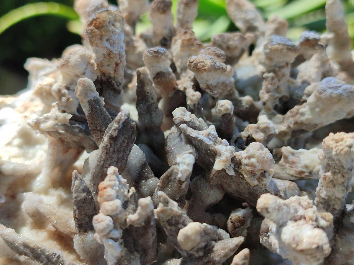 Natural Sceptre Calcite Clusters with Phosphorus Aragonite Coating x 2 From Albert's Mountain, Lesotho