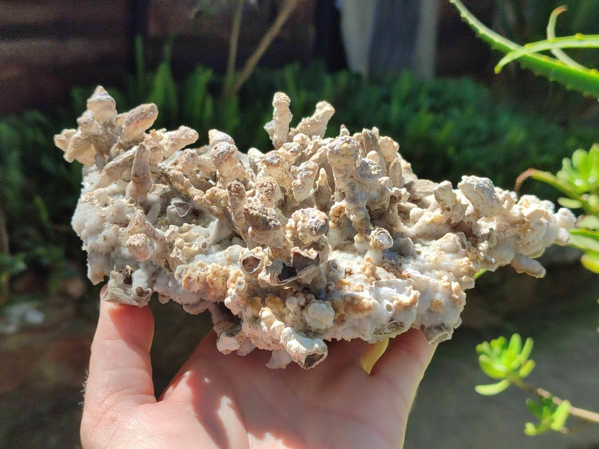 Natural Sceptre Calcite Clusters with Phosphorus Aragonite Coating x 2 From Albert's Mountain, Lesotho