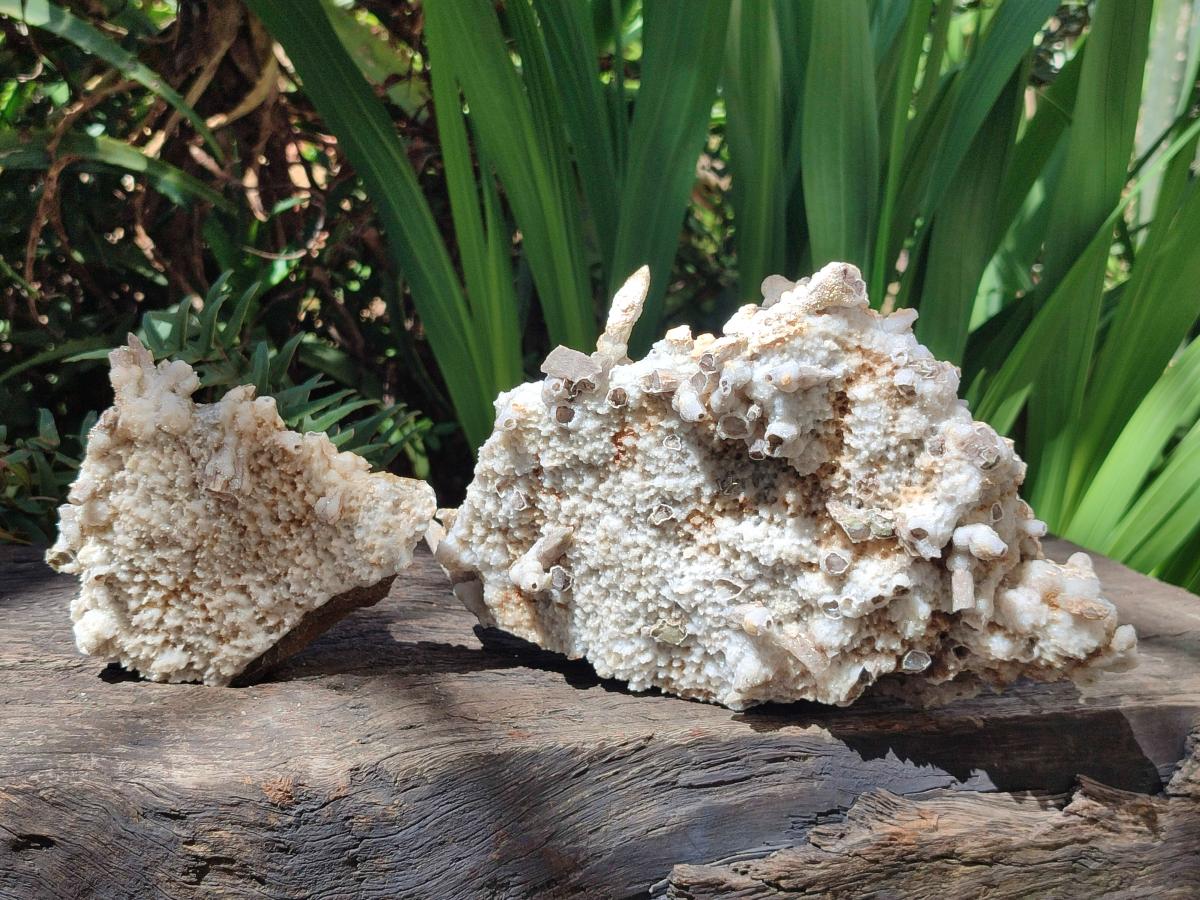 Natural Sceptre Calcite Clusters with Phosphorus Aragonite Coating x 2 From Albert's Mountain, Lesotho