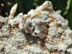 Natural Sceptre Calcite Clusters with Phosphorus Aragonite Coating x 2 From Albert's Mountain, Lesotho