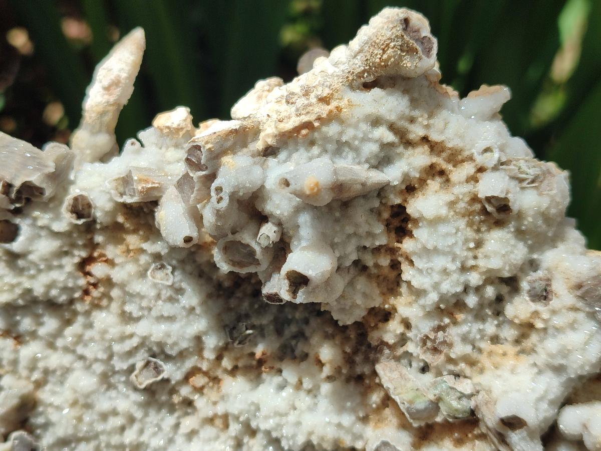 Natural Sceptre Calcite Clusters with Phosphorus Aragonite Coating x 2 From Albert's Mountain, Lesotho
